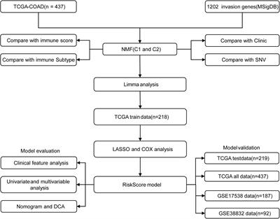 Identification of Distinct Molecular Patterns and a Four-Gene Signature in Colon Cancer Based on Invasion-Related Genes